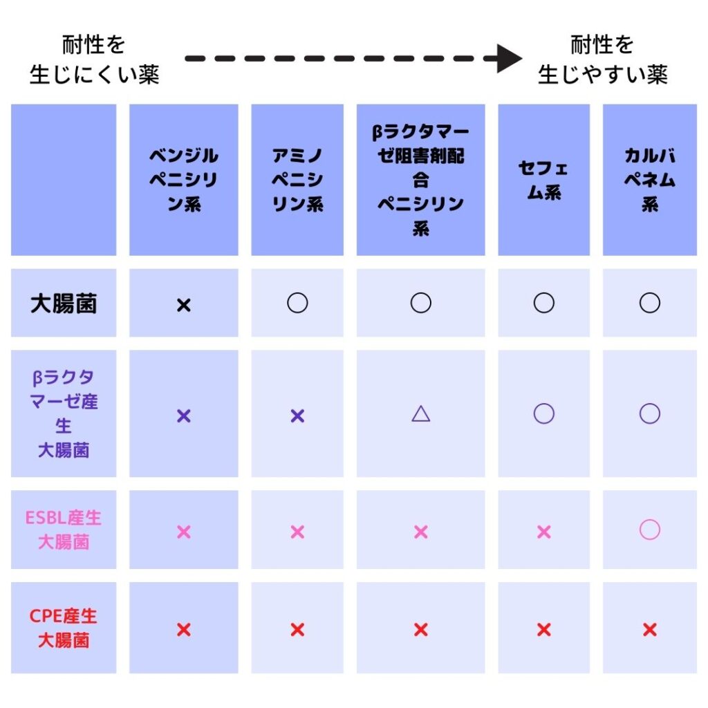 犬の大腸菌（大腸菌）：感染と予防